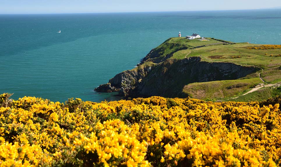 Embarking on a Maritime Odyssey: Cruising the Enchanting Irish Coastline