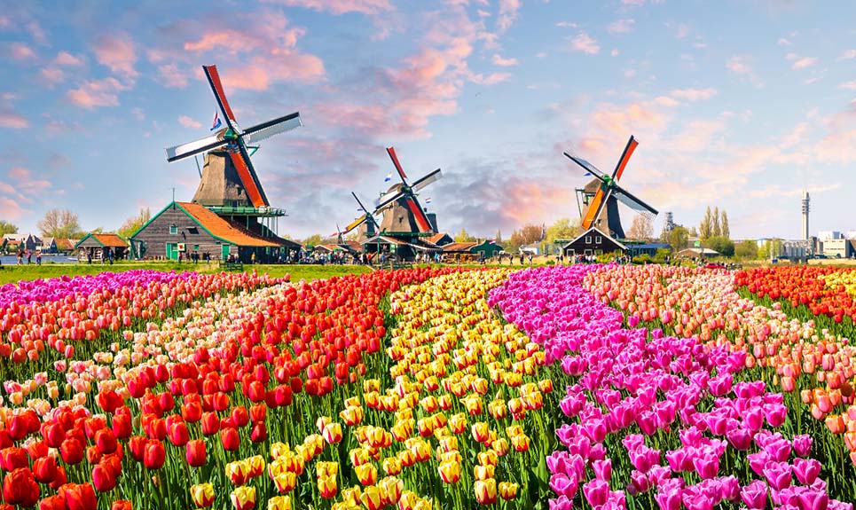 Unveiling Wallet-Friendly Routes to the Netherlands: Insider Strategies for Budget Travelers